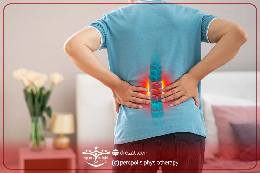 مواد تشکیل دهنده دیسک کمر