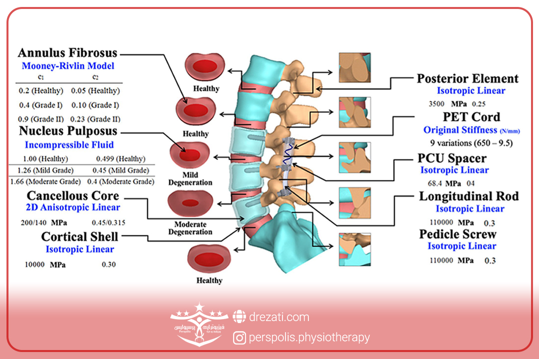 مواد تشکیل دهنده دیسک کمر