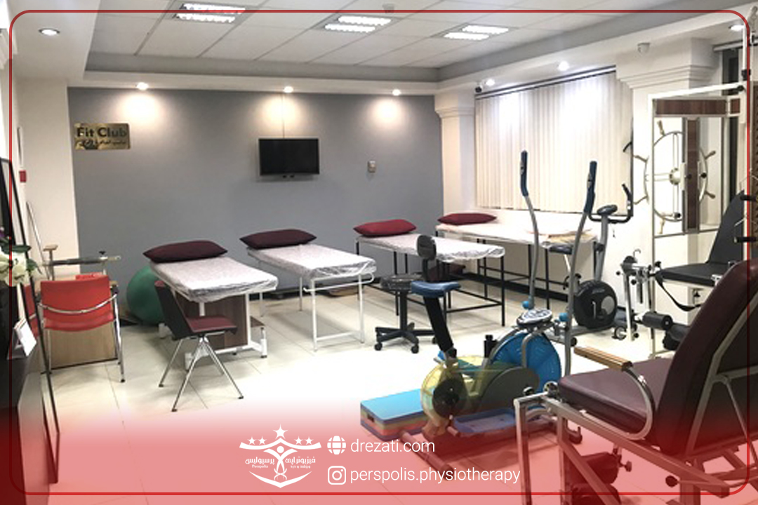 مواد تشکیل دهنده دیسک کمر