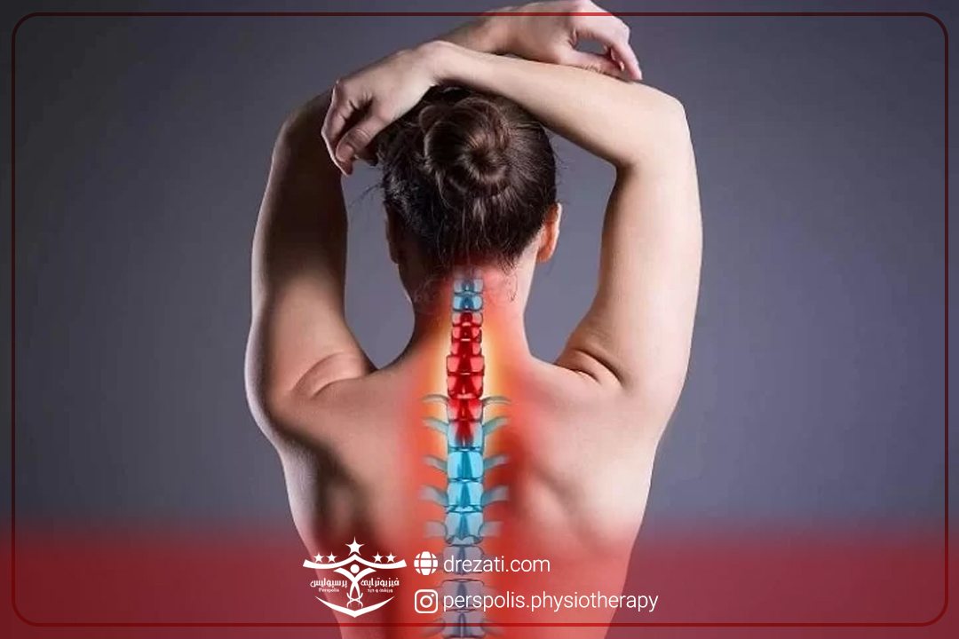 عملکرد دیسک گردن؛ ستون فقرات حیات شما